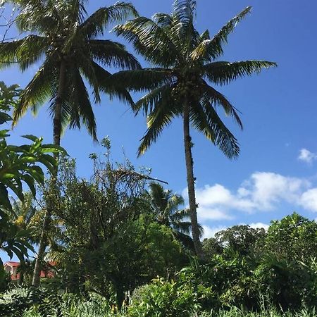 شقة Logement En Pleine Verdure Tropicale -10 Min Plage Le Morne-Rouge المظهر الخارجي الصورة