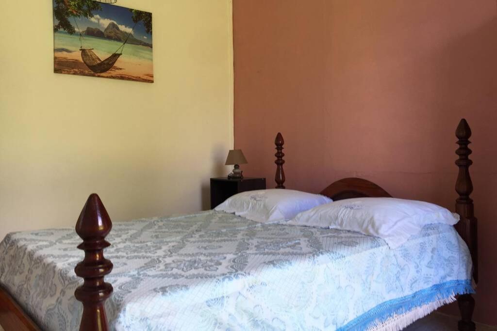 Logement En Pleine Verdure Tropicale -10 Min Plage Le Morne-Rouge المظهر الخارجي الصورة