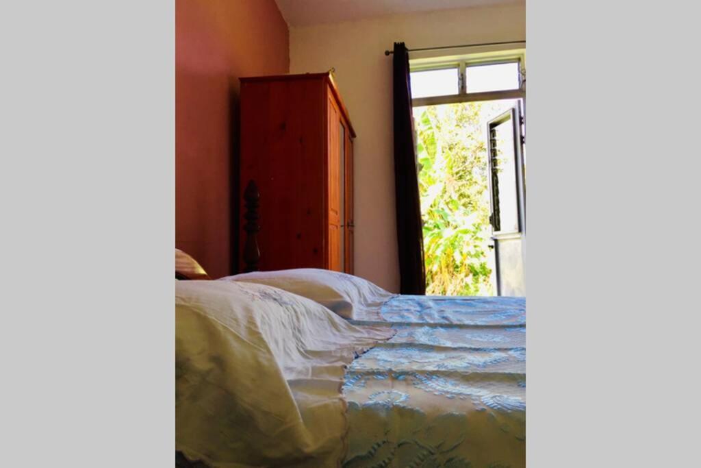 Logement En Pleine Verdure Tropicale -10 Min Plage Le Morne-Rouge المظهر الخارجي الصورة
