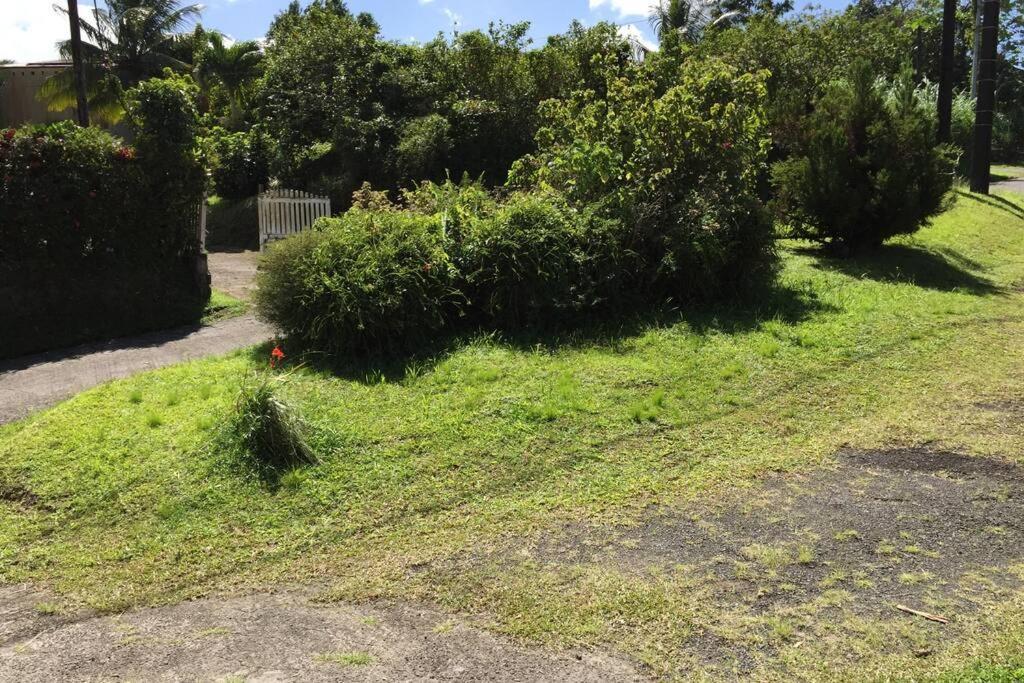 شقة Logement En Pleine Verdure Tropicale -10 Min Plage Le Morne-Rouge المظهر الخارجي الصورة